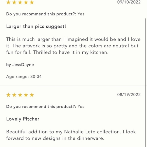 Anthropologie NIB Nathalie Lete Pitcher Hand-DecaledStoneware Responsibly Made - Picture 9 of 10